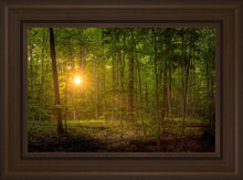 Load image into Gallery viewer, Suddenly A Light Descended
