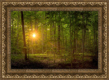 Load image into Gallery viewer, Suddenly A Light Descended
