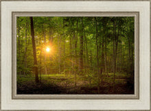 Load image into Gallery viewer, Suddenly A Light Descended
