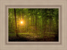 Load image into Gallery viewer, Suddenly A Light Descended

