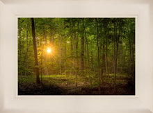 Load image into Gallery viewer, Suddenly A Light Descended
