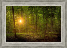 Load image into Gallery viewer, Suddenly A Light Descended

