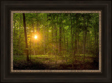 Load image into Gallery viewer, Suddenly A Light Descended
