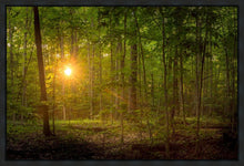 Load image into Gallery viewer, Suddenly A Light Descended
