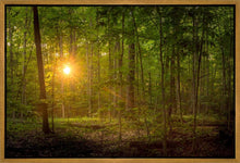 Load image into Gallery viewer, Suddenly A Light Descended
