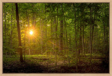 Load image into Gallery viewer, Suddenly A Light Descended

