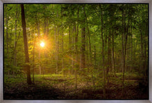 Load image into Gallery viewer, Suddenly A Light Descended
