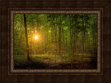 Load image into Gallery viewer, Suddenly A Light Descended

