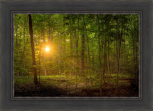 Load image into Gallery viewer, Suddenly A Light Descended

