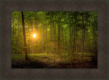 Load image into Gallery viewer, Suddenly A Light Descended
