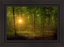 Load image into Gallery viewer, Suddenly A Light Descended
