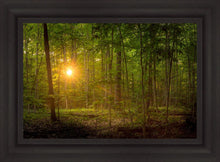 Load image into Gallery viewer, Suddenly A Light Descended
