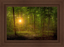 Load image into Gallery viewer, Suddenly A Light Descended
