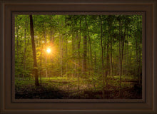 Load image into Gallery viewer, Suddenly A Light Descended
