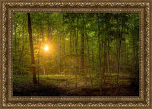 Load image into Gallery viewer, Suddenly A Light Descended
