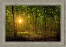 Load image into Gallery viewer, Suddenly A Light Descended
