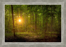 Load image into Gallery viewer, Suddenly A Light Descended
