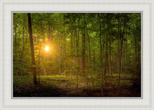 Load image into Gallery viewer, Suddenly A Light Descended
