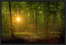 Load image into Gallery viewer, Suddenly A Light Descended

