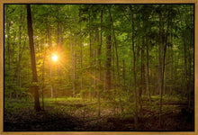 Load image into Gallery viewer, Suddenly A Light Descended
