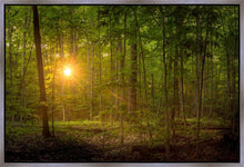 Load image into Gallery viewer, Suddenly A Light Descended
