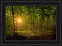 Load image into Gallery viewer, Suddenly A Light Descended
