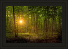 Load image into Gallery viewer, Suddenly A Light Descended
