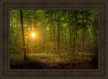 Load image into Gallery viewer, Suddenly A Light Descended
