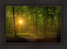 Load image into Gallery viewer, Suddenly A Light Descended
