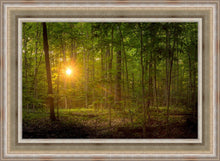 Load image into Gallery viewer, Suddenly A Light Descended
