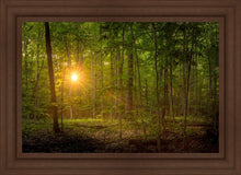 Load image into Gallery viewer, Suddenly A Light Descended

