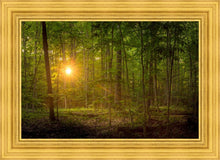 Load image into Gallery viewer, Suddenly A Light Descended
