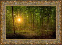 Load image into Gallery viewer, Suddenly A Light Descended

