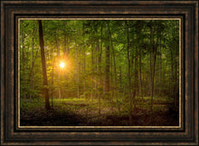 Load image into Gallery viewer, Suddenly A Light Descended
