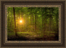 Load image into Gallery viewer, Suddenly A Light Descended
