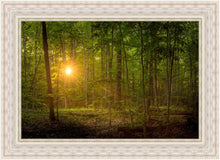Load image into Gallery viewer, Suddenly A Light Descended
