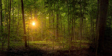 Load image into Gallery viewer, Suddenly A Light Descended
