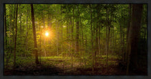 Load image into Gallery viewer, Suddenly A Light Descended
