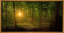 Load image into Gallery viewer, Suddenly A Light Descended
