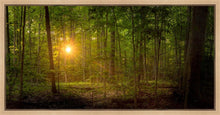 Load image into Gallery viewer, Suddenly A Light Descended
