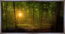 Load image into Gallery viewer, Suddenly A Light Descended
