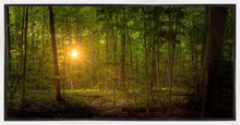 Load image into Gallery viewer, Suddenly A Light Descended
