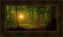 Load image into Gallery viewer, Suddenly A Light Descended
