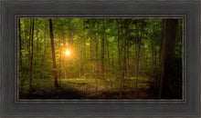 Load image into Gallery viewer, Suddenly A Light Descended
