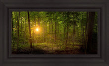 Load image into Gallery viewer, Suddenly A Light Descended
