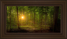 Load image into Gallery viewer, Suddenly A Light Descended
