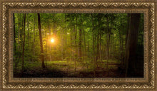 Load image into Gallery viewer, Suddenly A Light Descended
