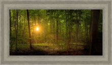 Load image into Gallery viewer, Suddenly A Light Descended

