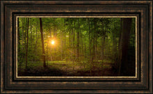 Load image into Gallery viewer, Suddenly A Light Descended
