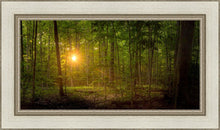 Load image into Gallery viewer, Suddenly A Light Descended
